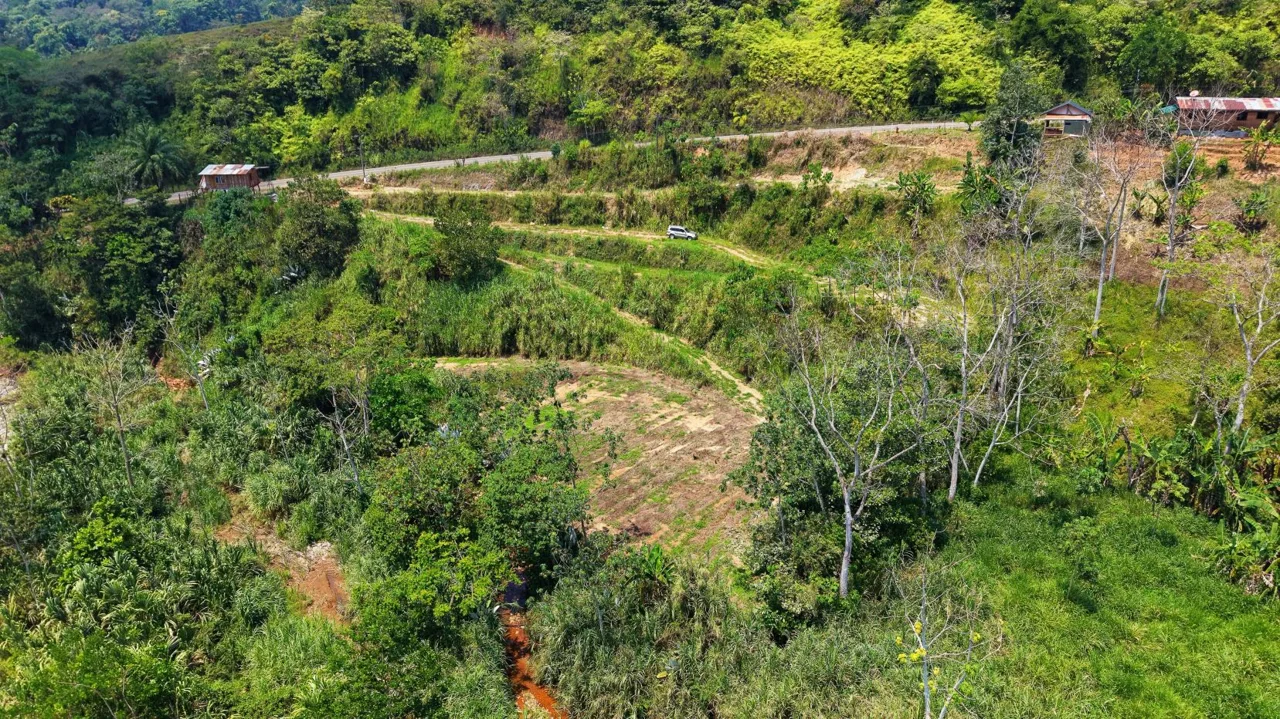 1 Ha Lot for sale in San Pedro: River, Versatile Climate &amp; Utilities, photo 8