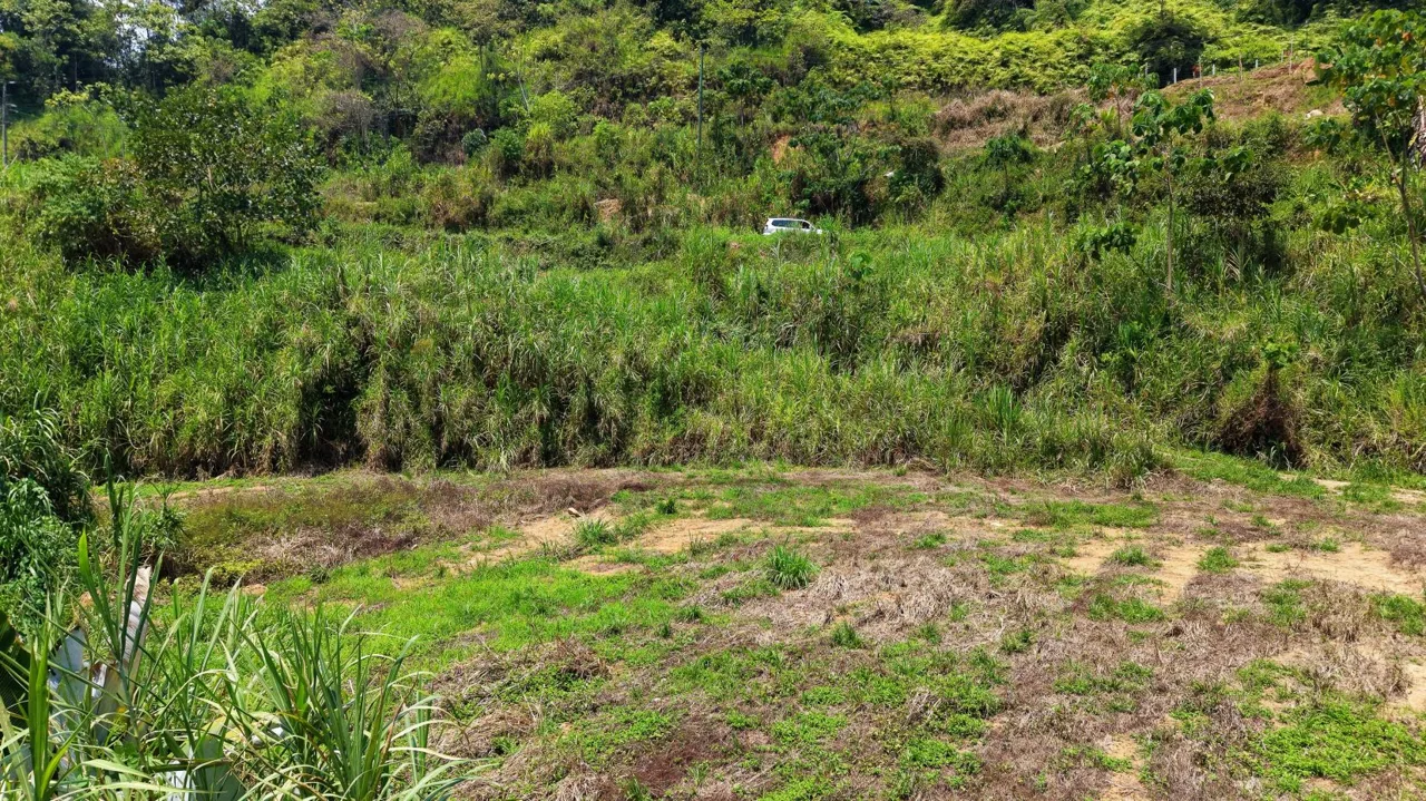1 Ha Lot for sale in San Pedro: River, Versatile Climate &amp; Utilities, photo 9