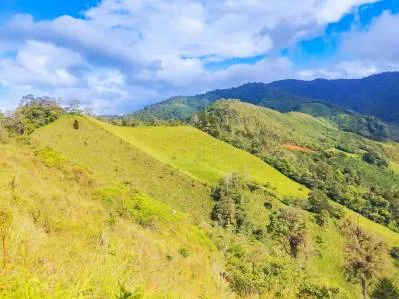 🌲 Descubre el Encanto de Rivas – Terreno 7 hectáreas con Vistas a la Montaña y Árboles Monumentales, photo 3
