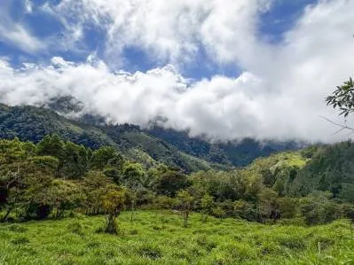 🌲 Descubre el Encanto de Rivas – Terreno 7 hectáreas con Vistas a la Montaña y Árboles Monumentales, photo 5