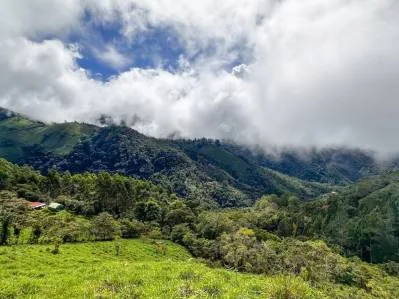 🌲 Descubre el Encanto de Rivas – Terreno 7 hectáreas con Vistas a la Montaña y Árboles Monumentales, photo 8