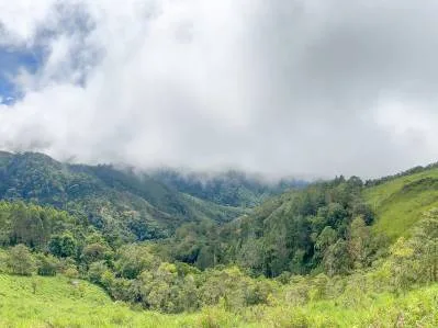 🌲 Descubre el Encanto de Rivas – Terreno 7 hectáreas con Vistas a la Montaña y Árboles Monumentales, photo 9