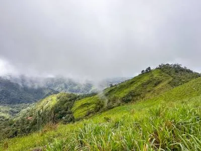🌲 Descubre el Encanto de Rivas – Terreno 7 hectáreas con Vistas a la Montaña y Árboles Monumentales, photo 10