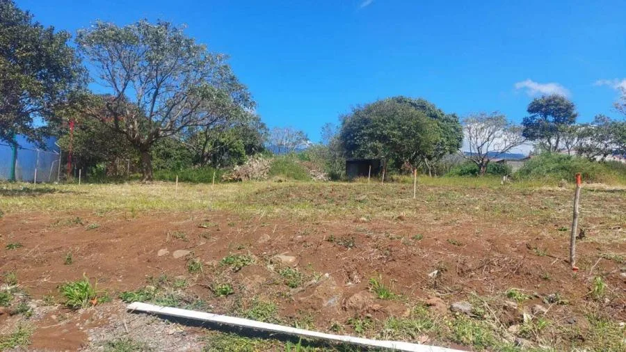 SE VENDE - LOTE PRIVADO EN SAN JUAN BOSCO - Venta en Perez Zeledón, photo 13