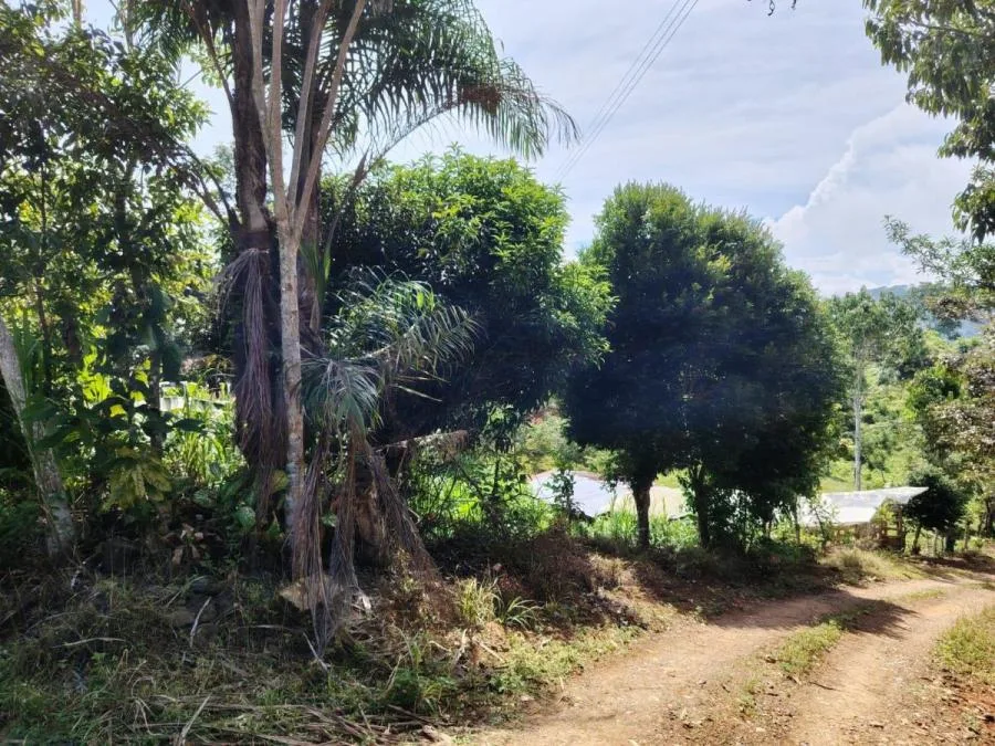 SE VENDE - LOTE PRIVADO EN SAN JUAN BOSCO - Venta en Perez Zeledón, photo 6