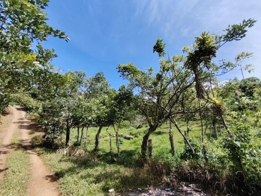 SE VENDE - LOTE PRIVADO EN SAN JUAN BOSCO - Venta en Perez Zeledón, photo 9
