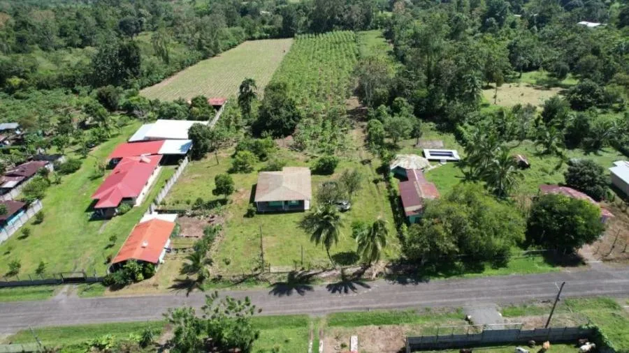 SE VENDE - LOTE PRIVADO EN SAN JUAN BOSCO - Venta en Perez Zeledón, photo 10