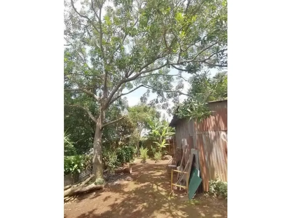 Venta de Lote, Barrio Jesús, Santa Bárbara de Heredia, photo 11