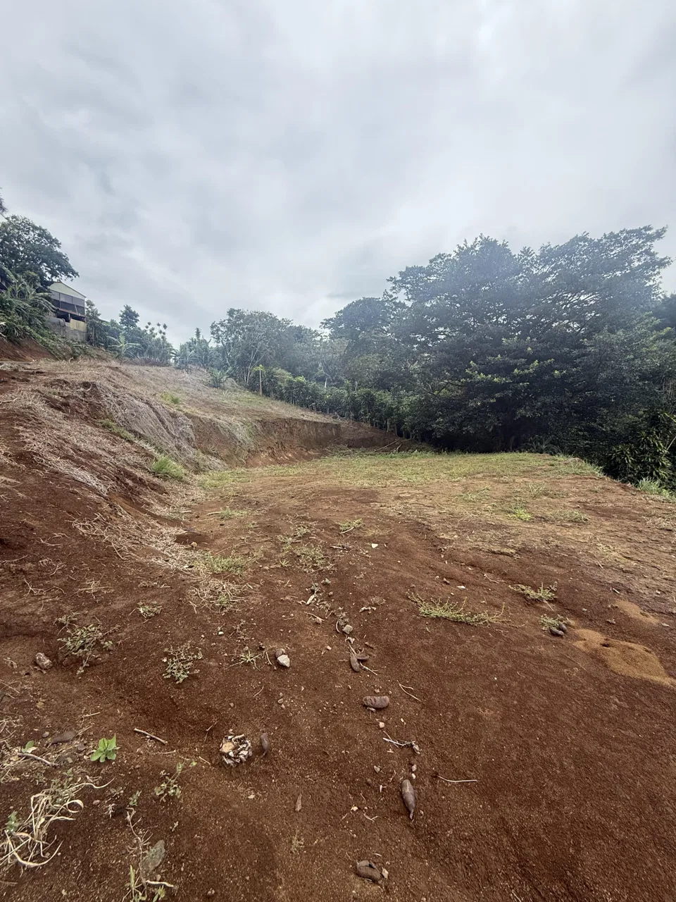 Propiedad grande en sarchi con terrazas