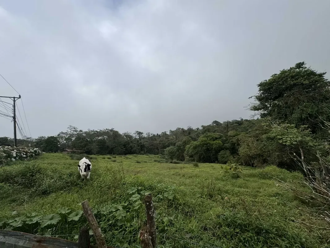 Terreno en venta en Las Nubes de Coronado 2 .1 hectareas, photo 6