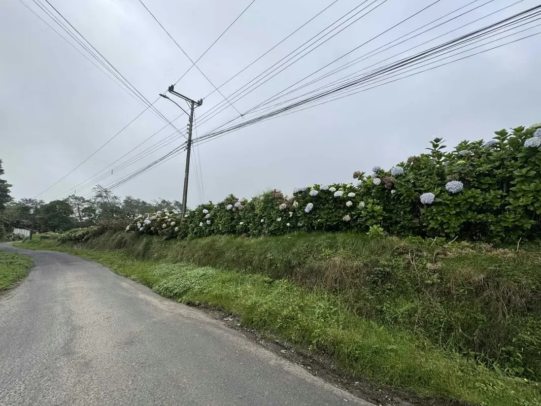 Terreno en venta en Las Nubes de Coronado 2 .1 hectareas, photo 8