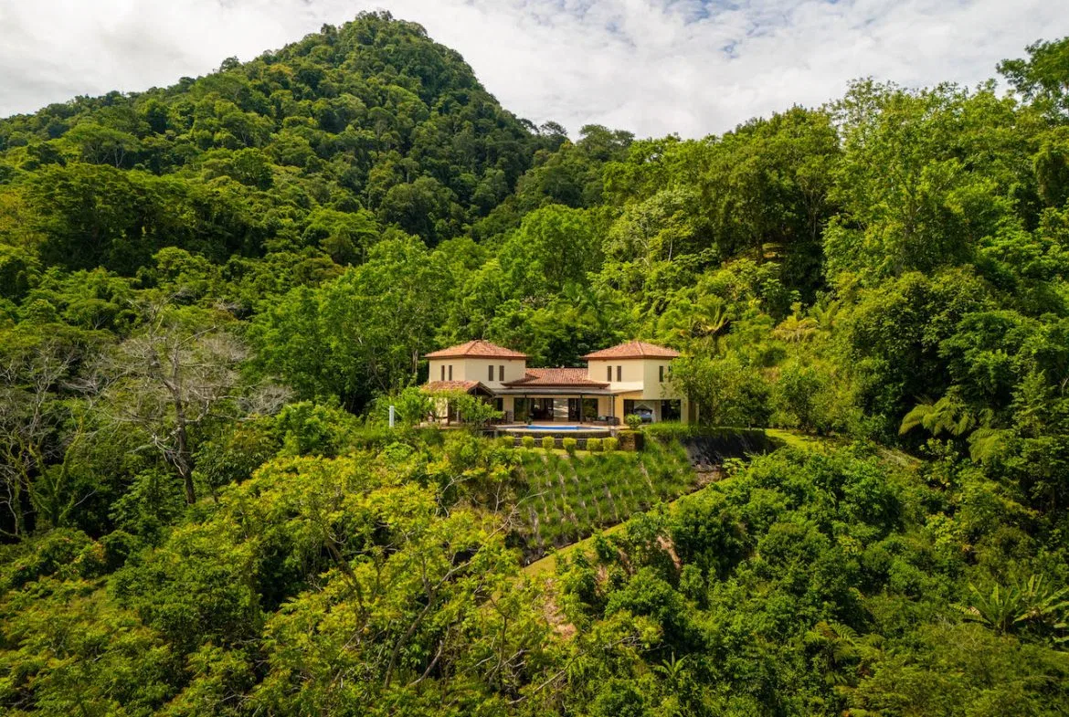 OCEAN, WATERFALL AND JUNGLE VIEWS – THREE HOMES AND FRUIT TREES – 71 ACRES, photo 12