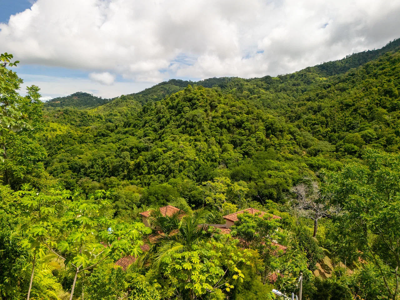 OCEAN, WATERFALL AND JUNGLE VIEWS – THREE HOMES AND FRUIT TREES – 71 ACRES, photo 13