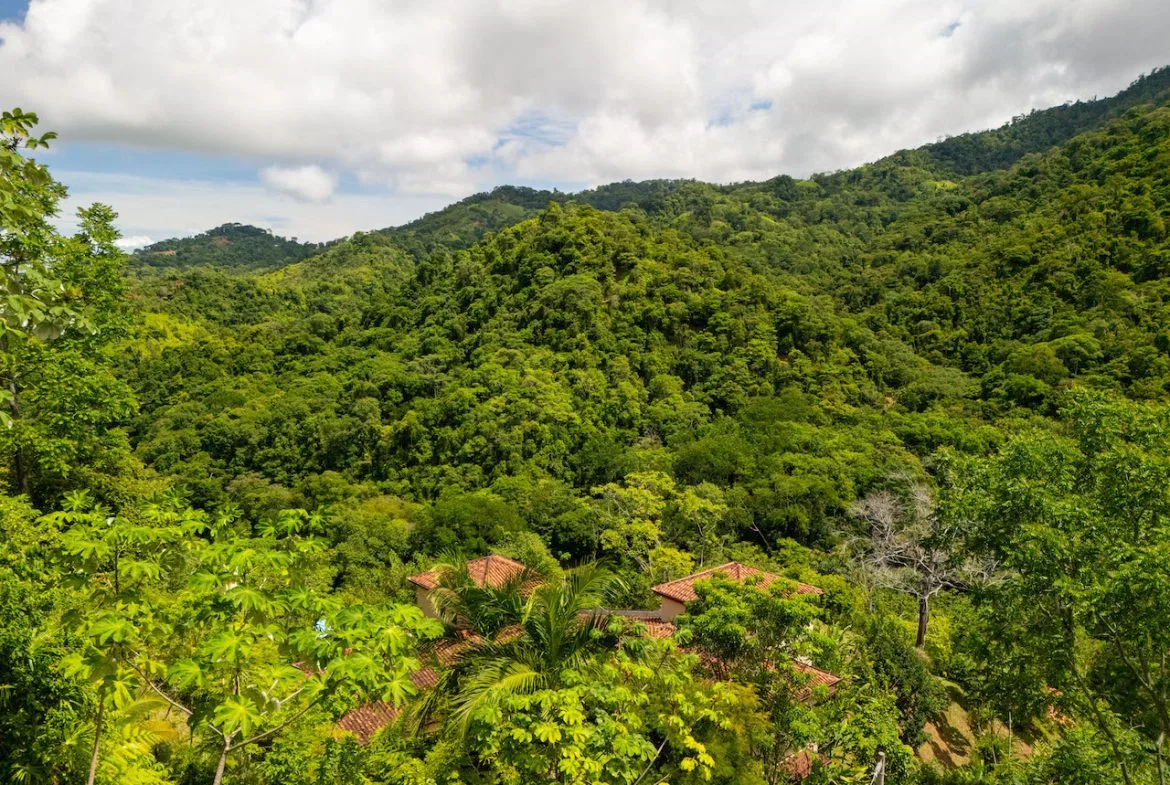 OCEAN, WATERFALL AND JUNGLE VIEWS – THREE HOMES AND FRUIT TREES – 71 ACRES, photo 14