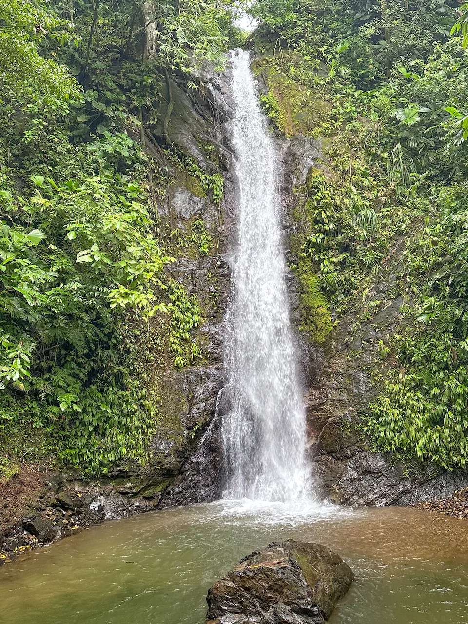 OCEAN, WATERFALL AND JUNGLE VIEWS – THREE HOMES AND FRUIT TREES – 71 ACRES, photo 15