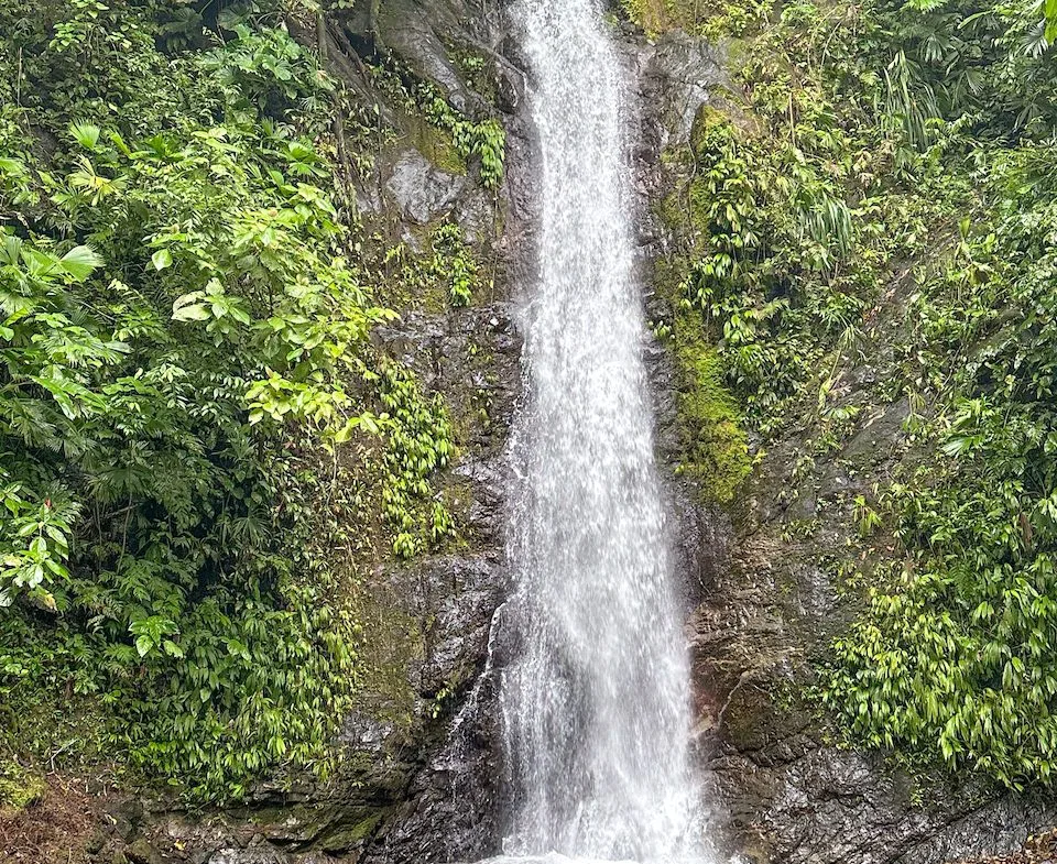 OCEAN, WATERFALL AND JUNGLE VIEWS – THREE HOMES AND FRUIT TREES – 71 ACRES, photo 16