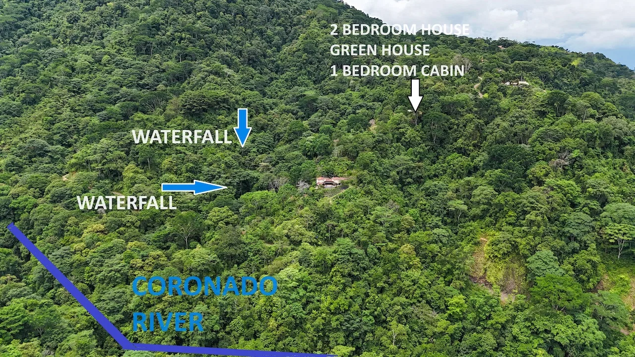 OCEAN, WATERFALL AND JUNGLE VIEWS – THREE HOMES AND FRUIT TREES – 71 ACRES, photo 7