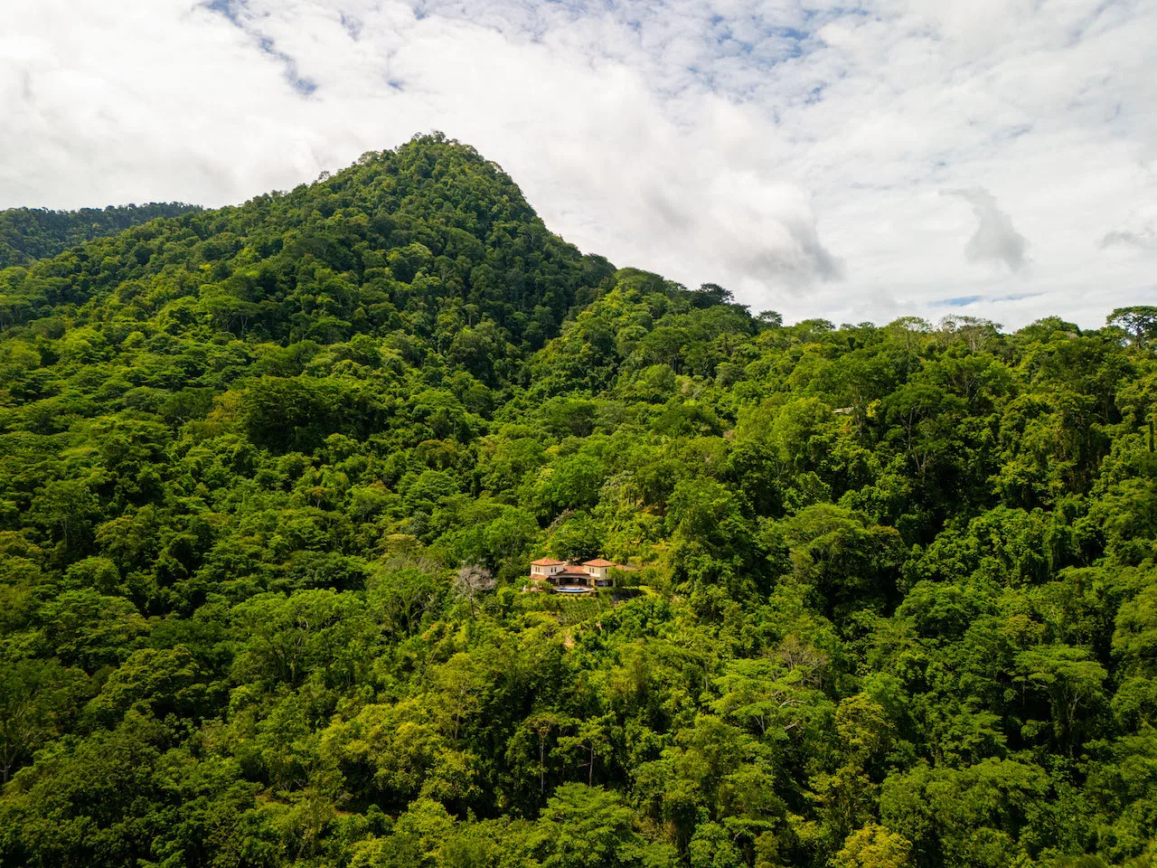 OCEAN, WATERFALL AND JUNGLE VIEWS – THREE HOMES AND FRUIT TREES – 71 ACRES, photo 9