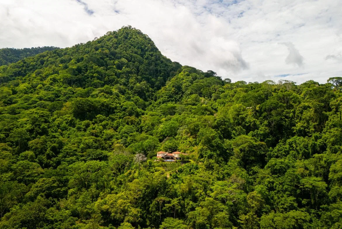 OCEAN, WATERFALL AND JUNGLE VIEWS – THREE HOMES AND FRUIT TREES – 71 ACRES, photo 10