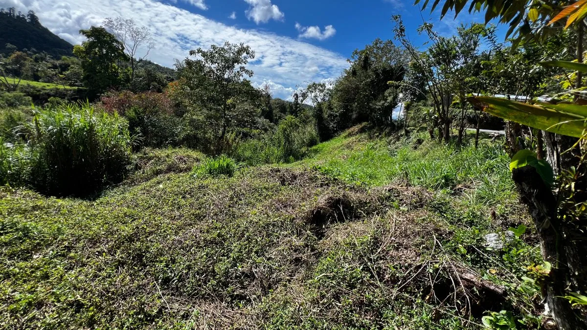 SE VENDE TERRENO IDEAL PARA PROYECTO RESIDENCIAL O REFUGIO TURISTICO FRENTE AL RIO - Venta en Pérez Zeledón