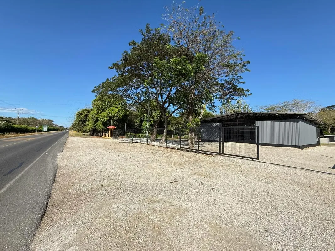 Commercial space for rent in Santa Cruz, facing the main street (350 m2) ample parking ID 1249