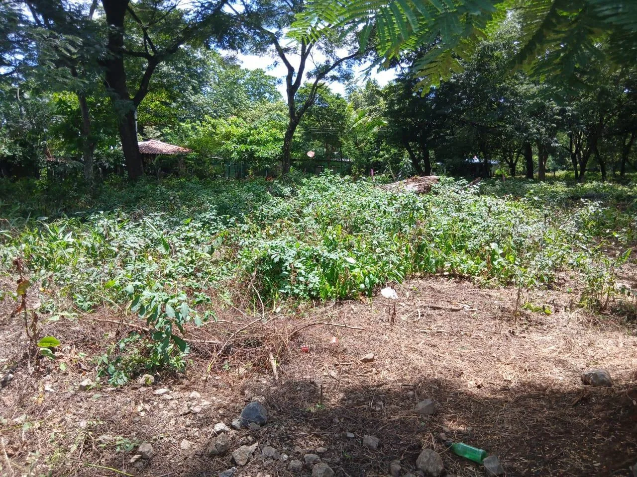 Lote en Venta en Sardinal ,Carrillo
