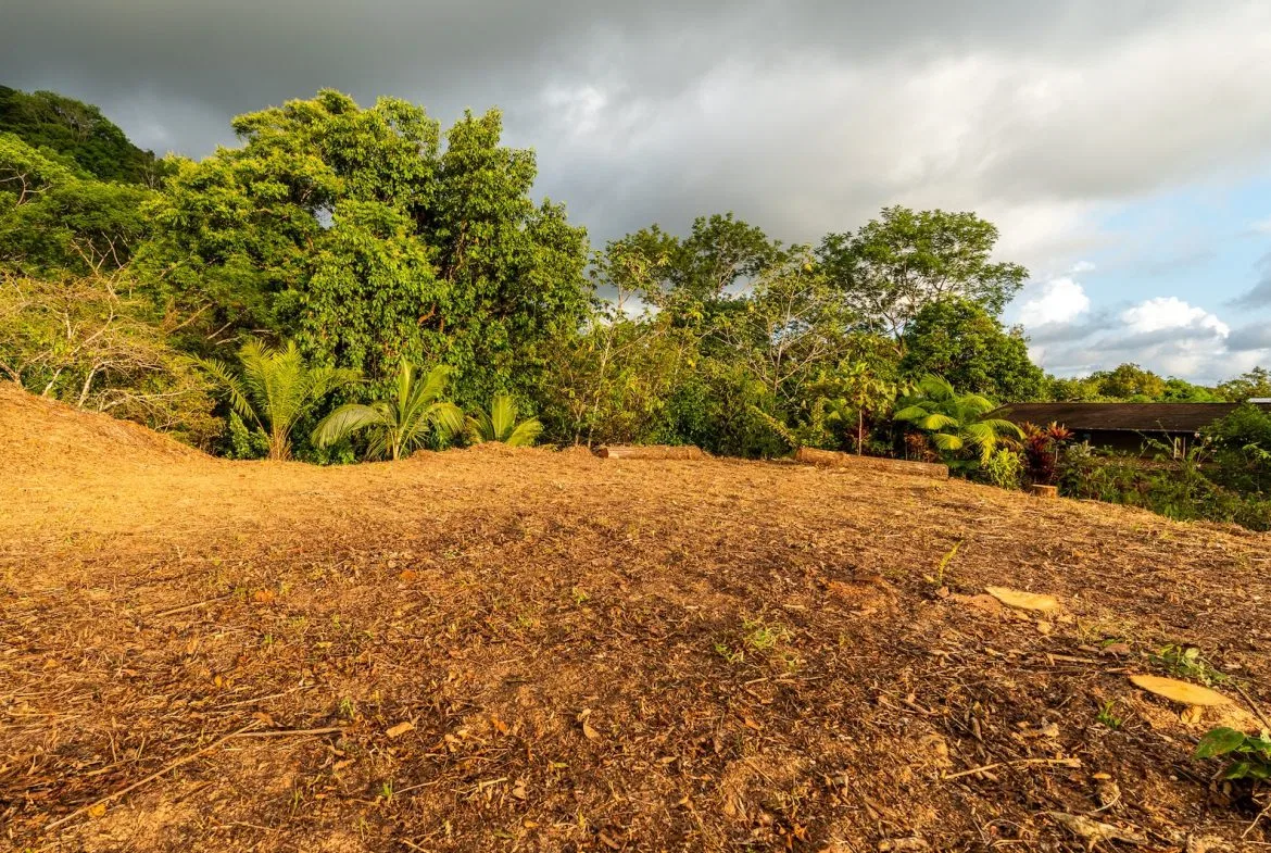 PROPERTY WITH SPECTACULAR SUNSET VIEWS, IN OJOCHAL – 0.98 ACRES, photo 14