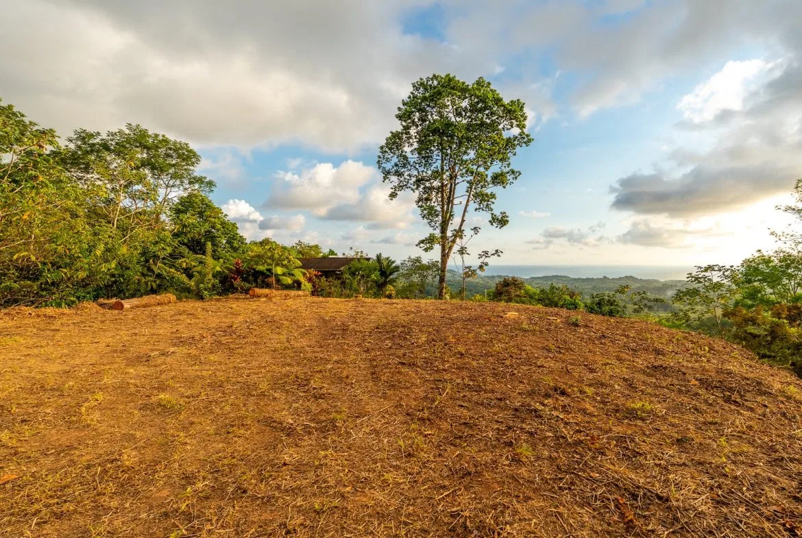 PROPERTY WITH SPECTACULAR SUNSET VIEWS, IN OJOCHAL – 0.98 ACRES, photo 16