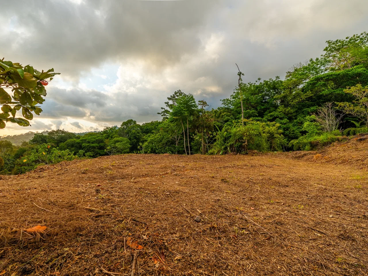 PROPERTY WITH SPECTACULAR SUNSET VIEWS, IN OJOCHAL – 0.98 ACRES, photo 17