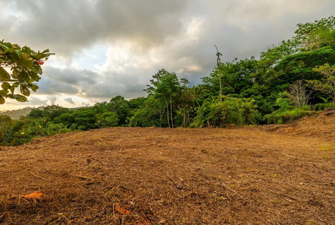 PROPERTY WITH SPECTACULAR SUNSET VIEWS, IN OJOCHAL – 0.98 ACRES, photo 18