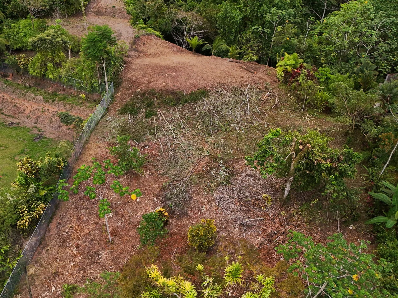 PROPERTY WITH SPECTACULAR SUNSET VIEWS, IN OJOCHAL – 0.98 ACRES, photo 5