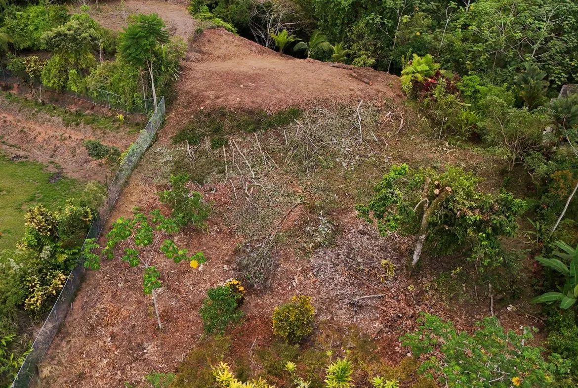 PROPERTY WITH SPECTACULAR SUNSET VIEWS, IN OJOCHAL – 0.98 ACRES, photo 6