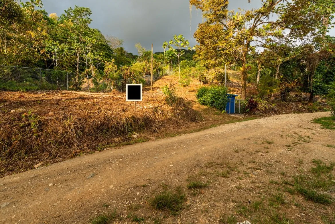 PROPERTY WITH SPECTACULAR SUNSET VIEWS, IN OJOCHAL – 0.98 ACRES, photo 8