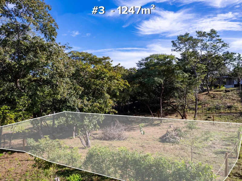 Land For Sale in Tamarindo, photo 2