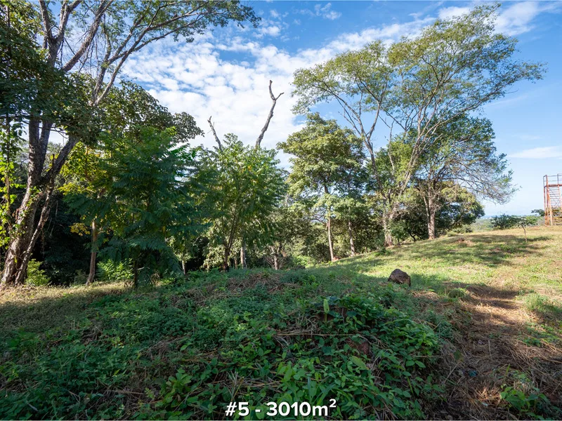Land For Sale in Tamarindo, photo 11