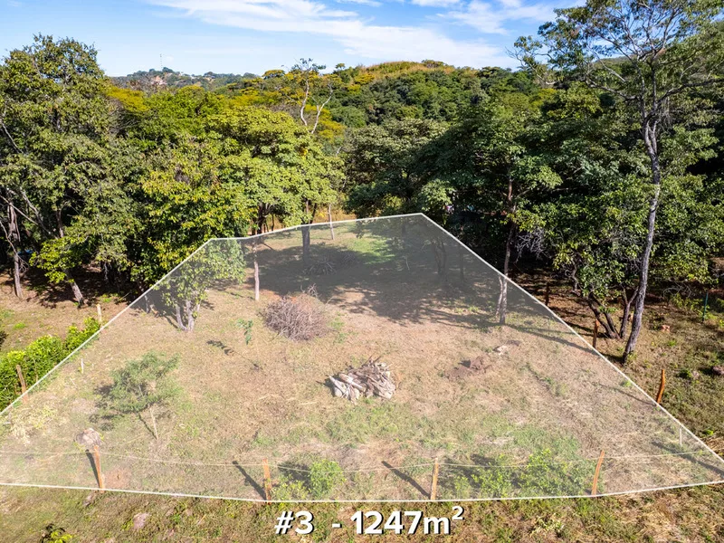 Land For Sale in Tamarindo, photo 4