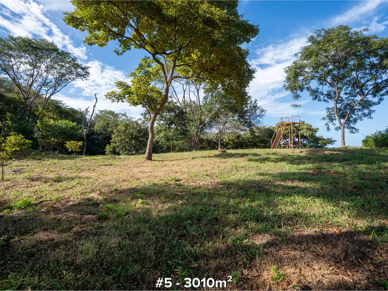 Land For Sale in Tamarindo, photo 5