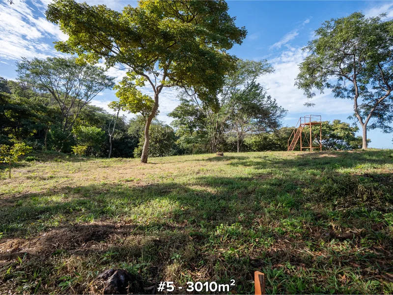 Land For Sale in Tamarindo, photo 6