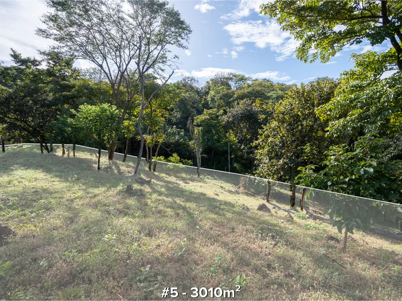 Land For Sale in Tamarindo, photo 7
