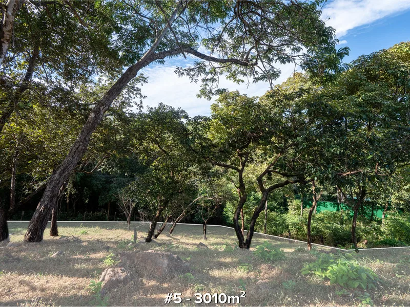 Land For Sale in Tamarindo, photo 8
