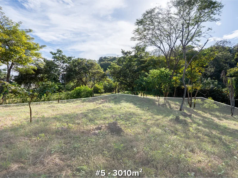 Land For Sale in Tamarindo, photo 10