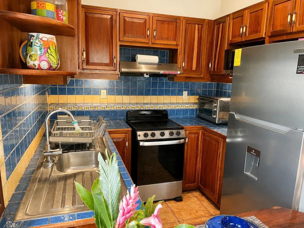 FURNISHED APARTMENT FOR RENT IN PIEDADES DE SANTA ANA, photo 14
