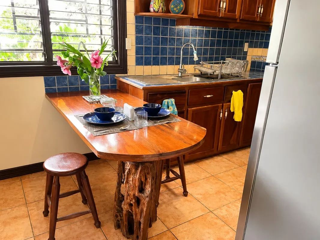 FURNISHED APARTMENT FOR RENT IN PIEDADES DE SANTA ANA, photo 6