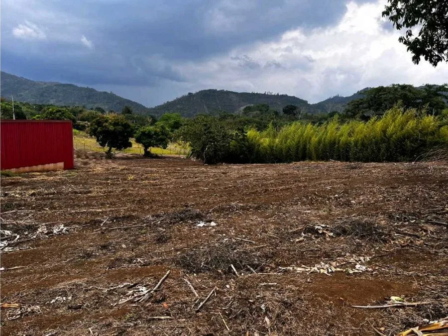 Venta Lote en Palmares cerca del Centro, photo 2