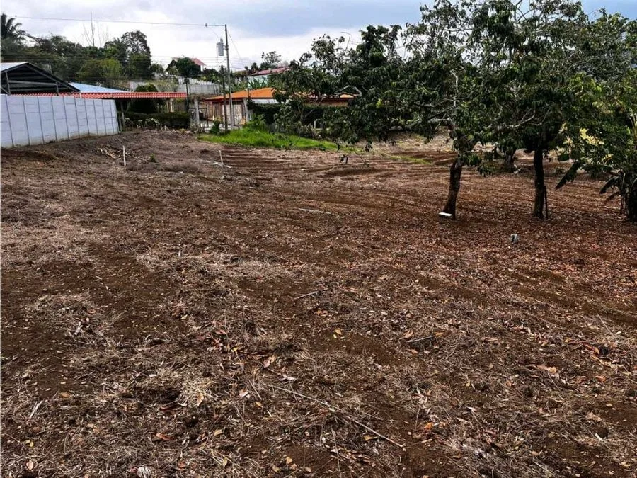 Venta Lote en Palmares cerca del Centro, photo 3