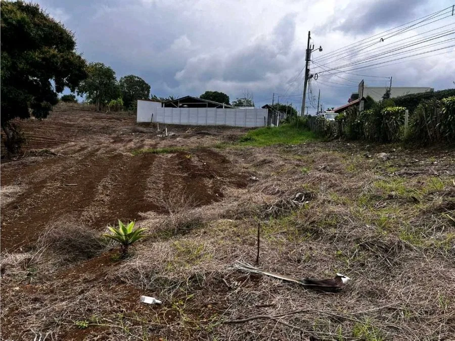 Venta Lote en Palmares cerca del Centro, photo 8