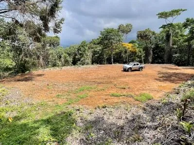 Terreno tranquilo en la selva en venta en Ojochal, photo 3