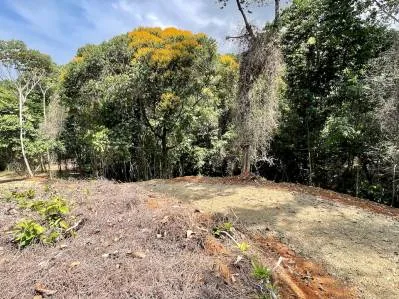 Terreno tranquilo en la selva en venta en Ojochal, photo 5