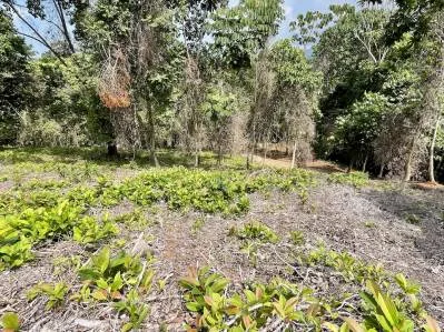 Terreno tranquilo en la selva en venta en Ojochal, photo 6