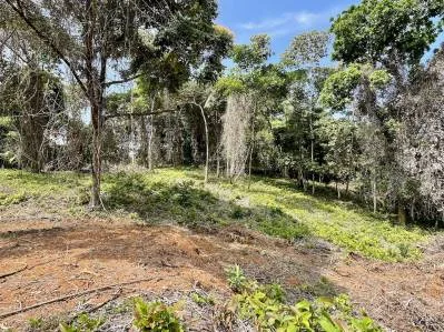 Terreno tranquilo en la selva en venta en Ojochal, photo 7